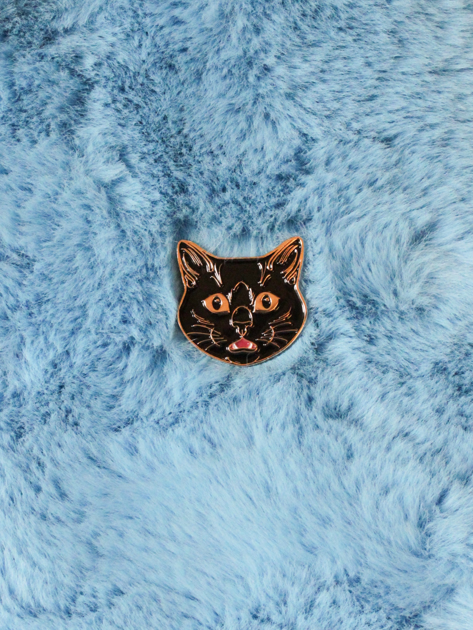 Surprise Cat Pin