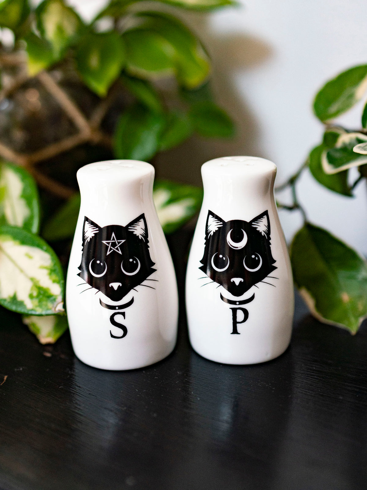 Black Cats Salt &amp; Pepper Shakers