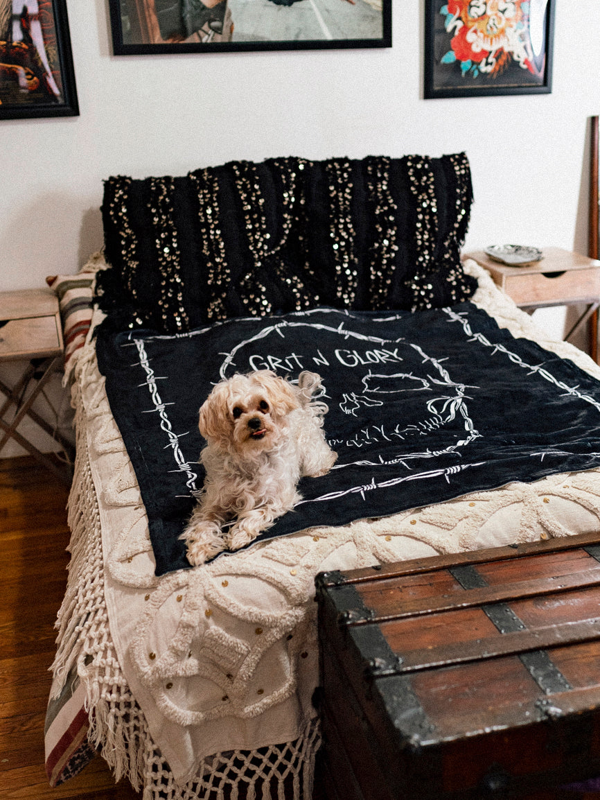 A black blanket with a white skull design and the text 'GRIT N GLORY' on a bed with a small dog.
