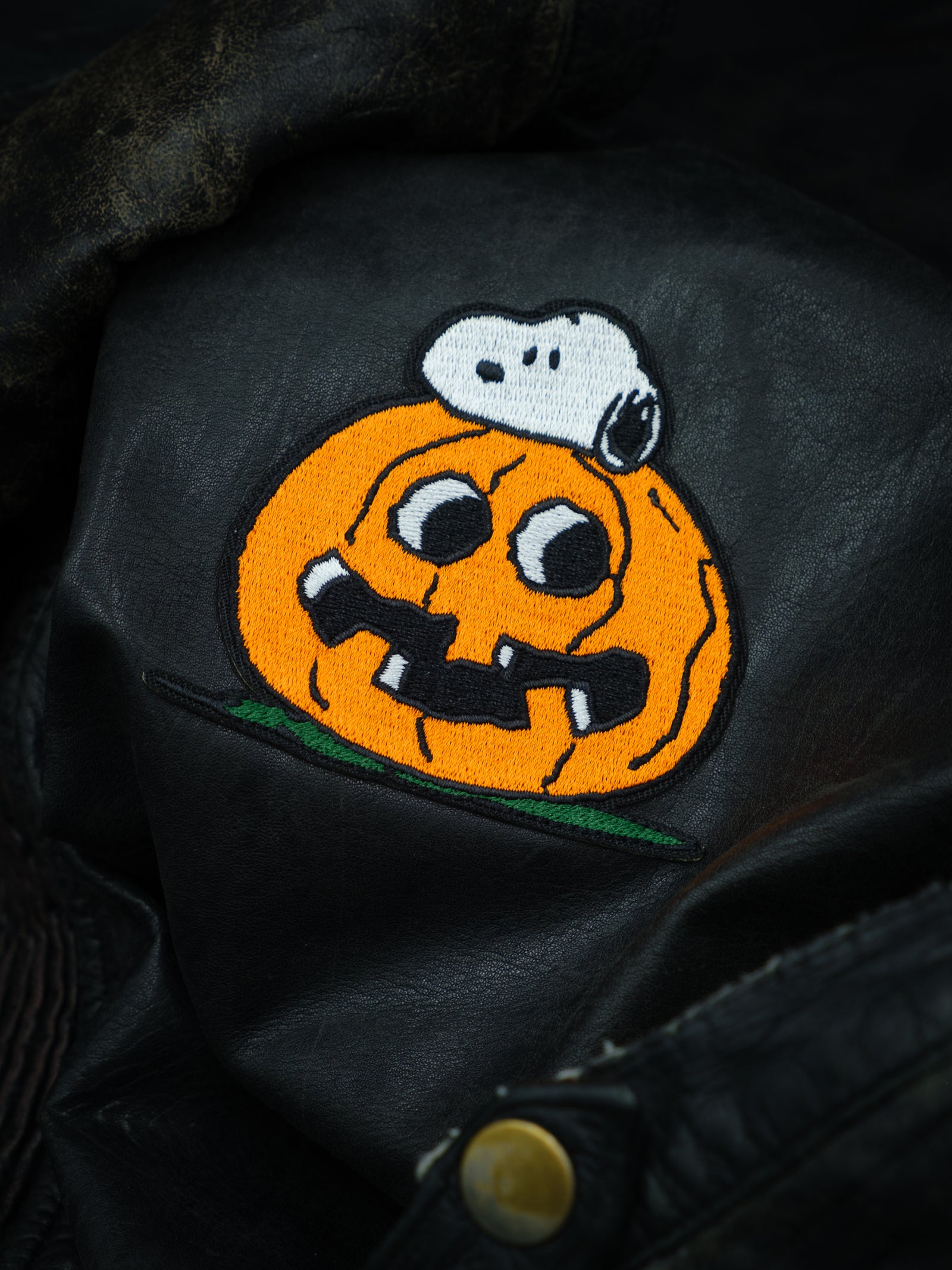 Snoopy Great Pumpkin Patch