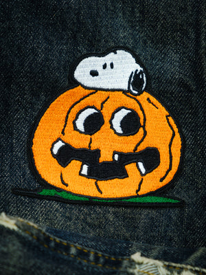 Snoopy Great Pumpkin Patch