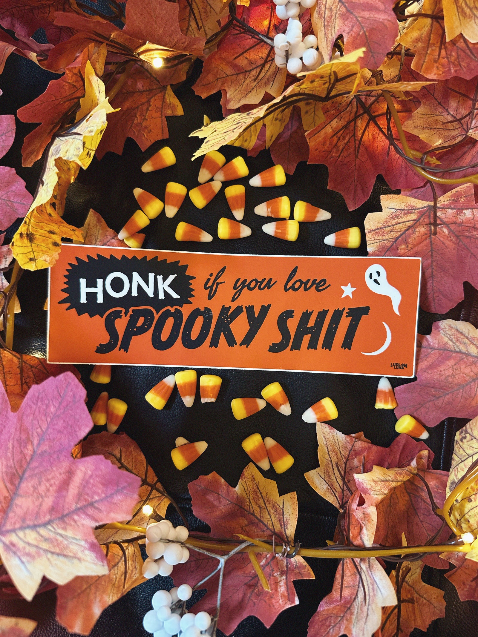 Black bumper sticker that reads "Honk if you love spooky shit" with a gost and star graphic on a Halloween themed background. 