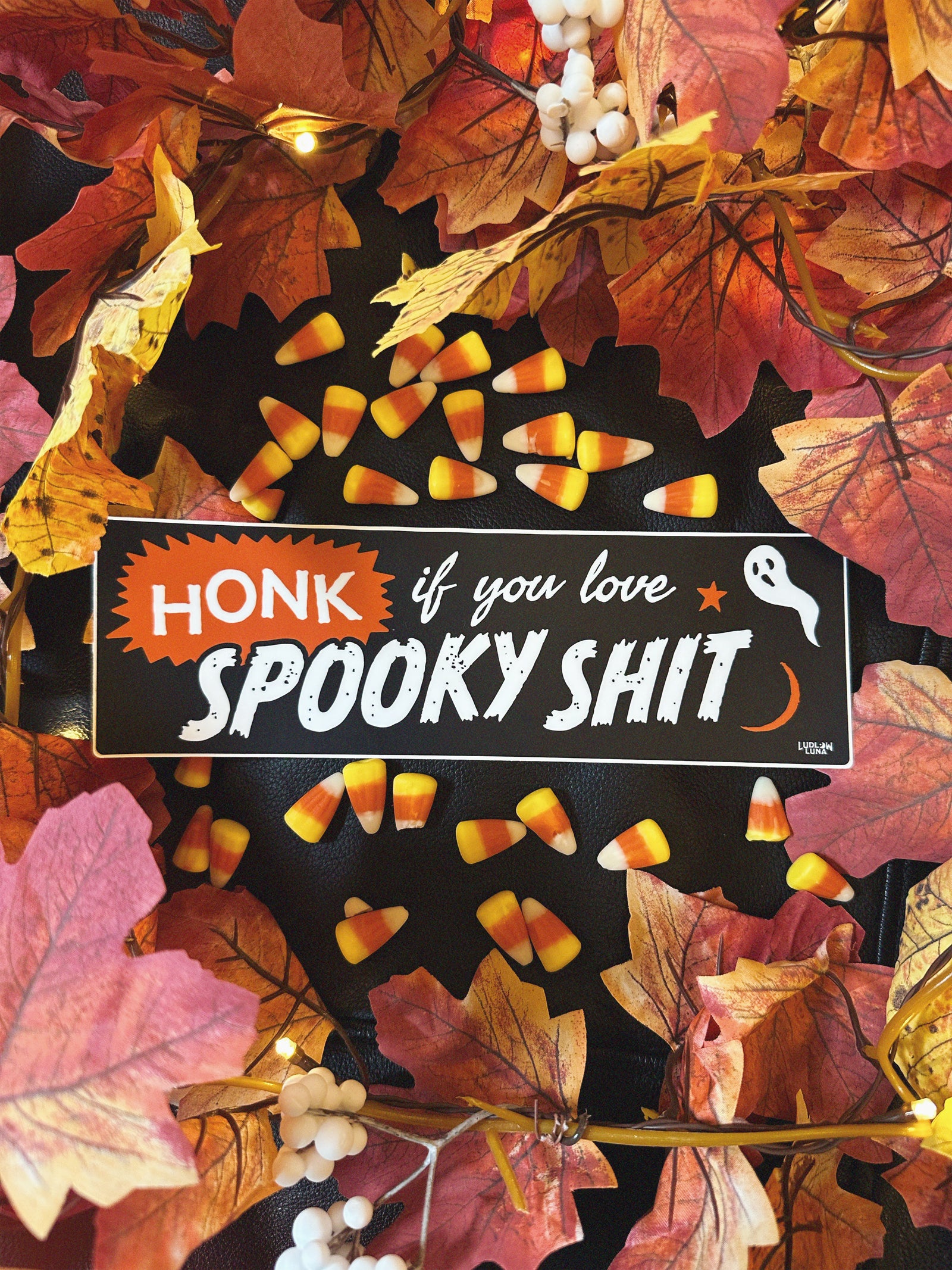 Black bumper sticker that reads "Honk if you love spooky shit" with a gost and star graphic on a Halloween themed background. 