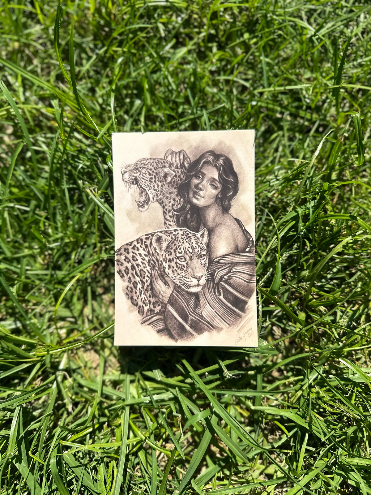 Jaguar Postcard