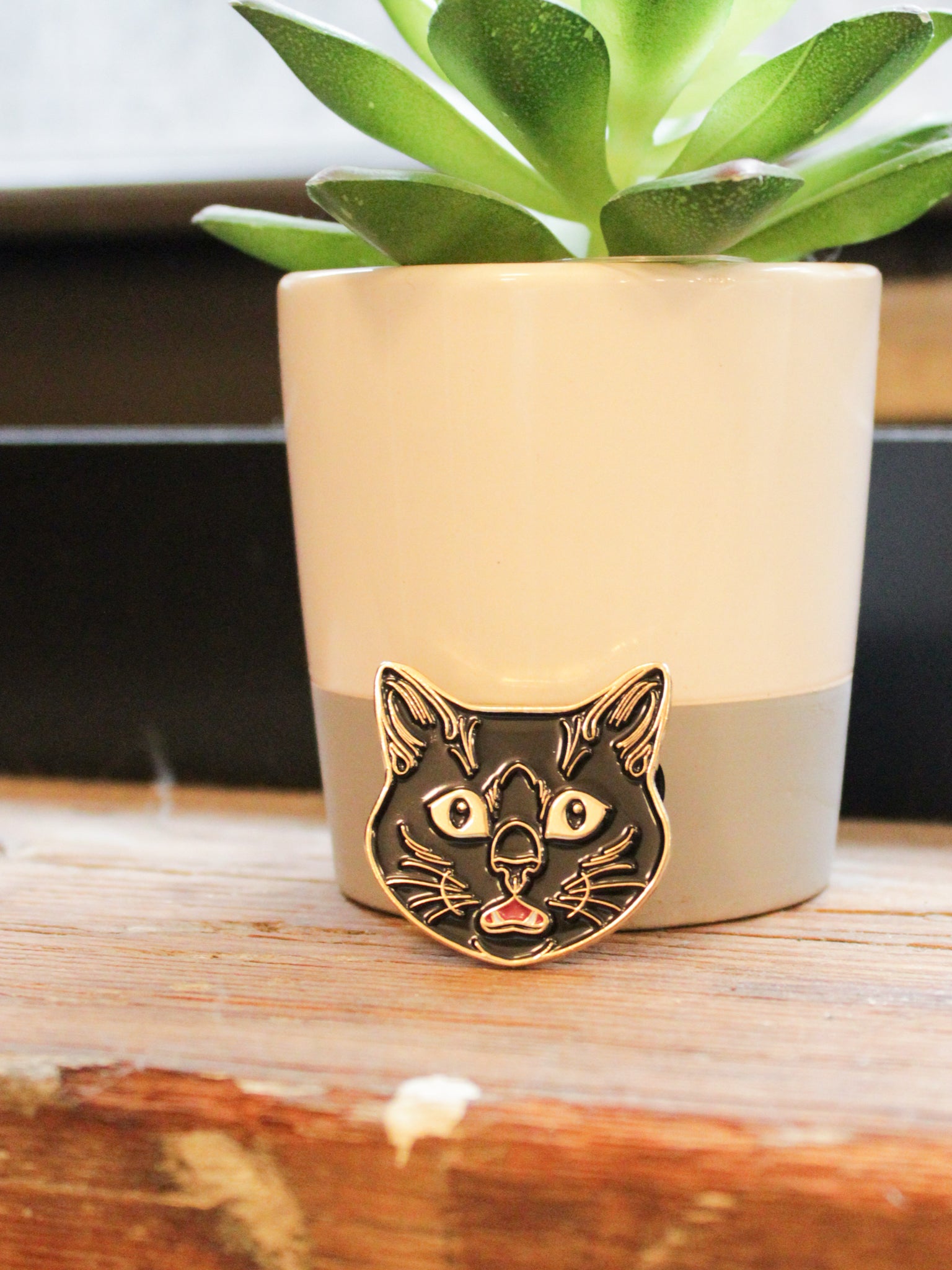 Surprise Cat Pin
