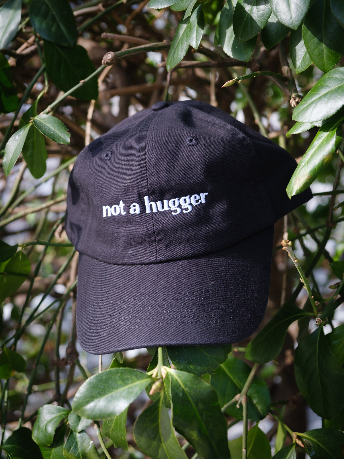 Not a Hugger Dad Hat
