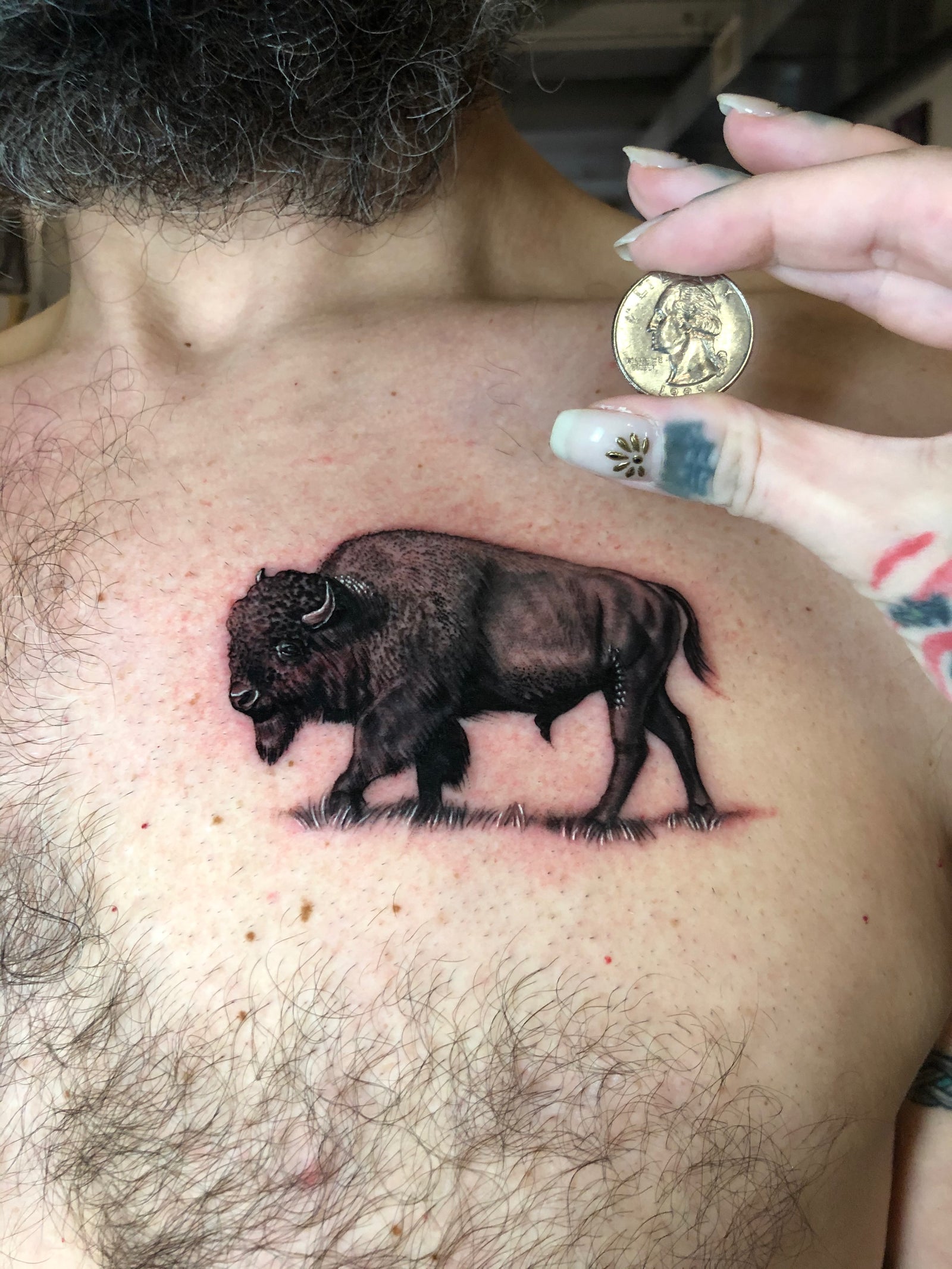 Small realistism buffalo chest tattoo made by Megan Massacre with a quarter for size comparison. 