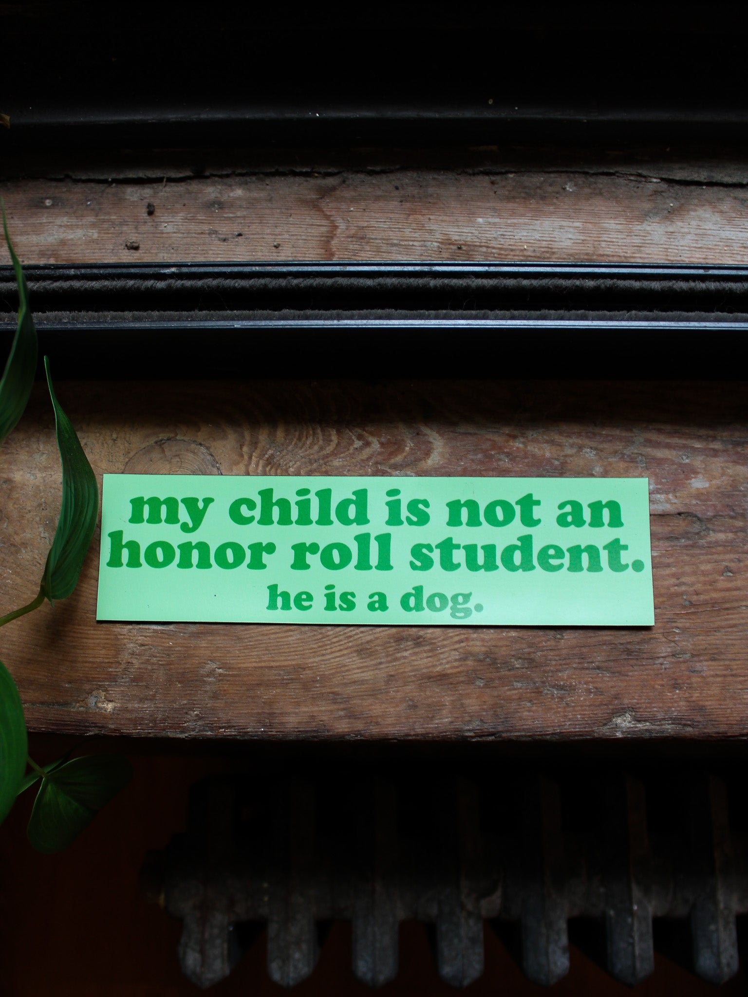 Honor Roll Green Car Magnet