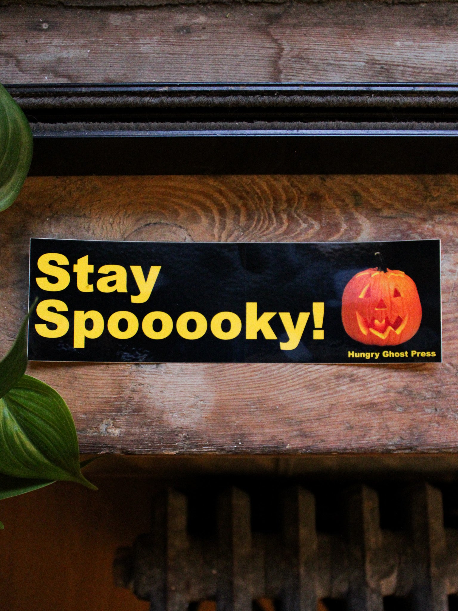 Stay Spooky Bumper Sticker