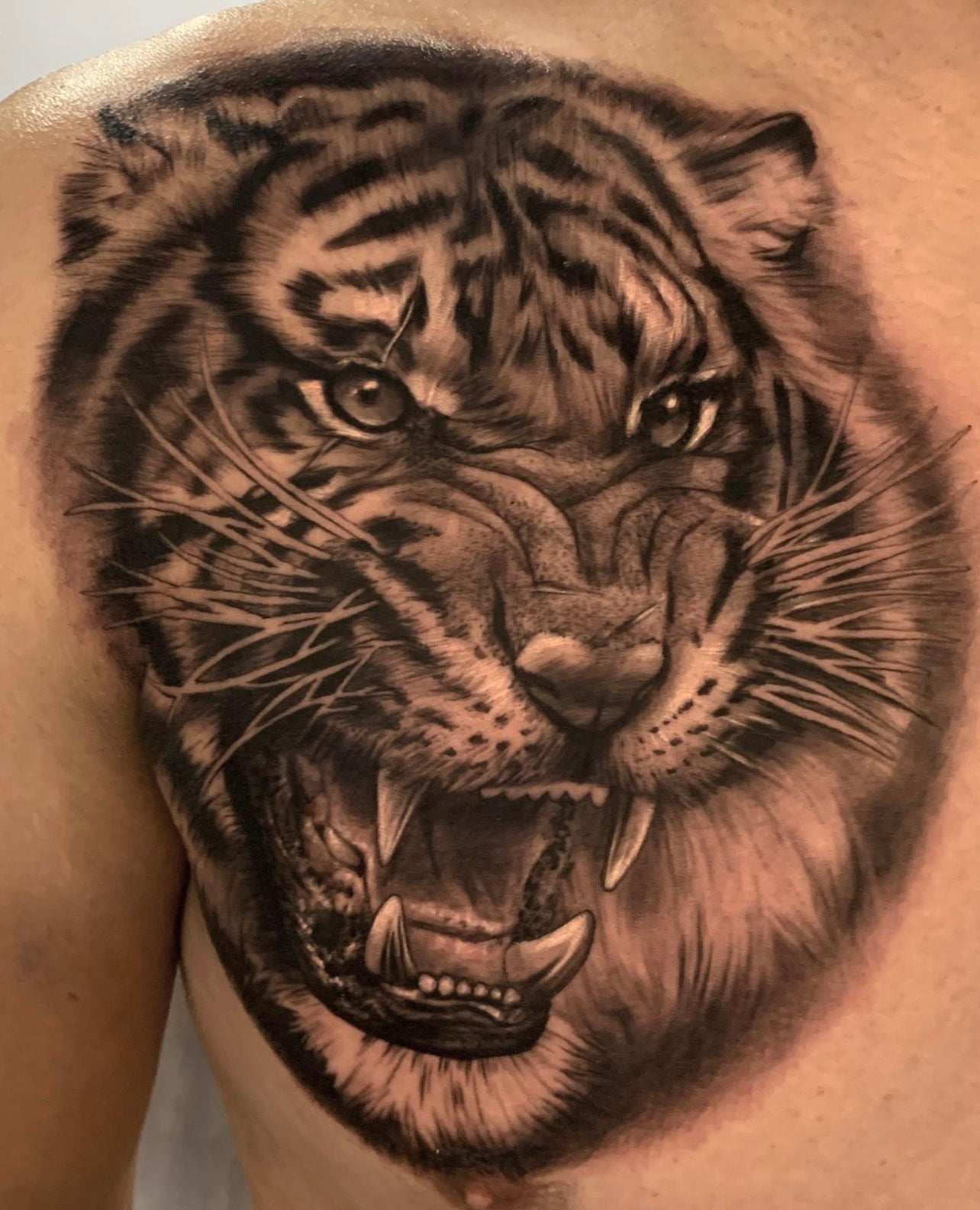 black and gray tiger tattoo by Elvia Guaidan