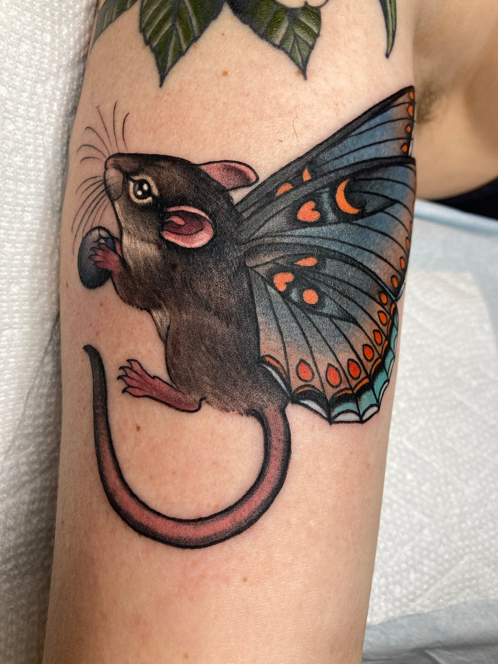 Neo-traditional, color, whimsical mouse with moth wings tattoo by Charlotte Timmons.
