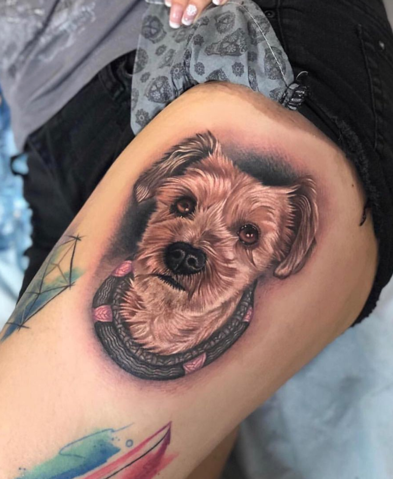 dog portrait tattoo by Megan Massacre