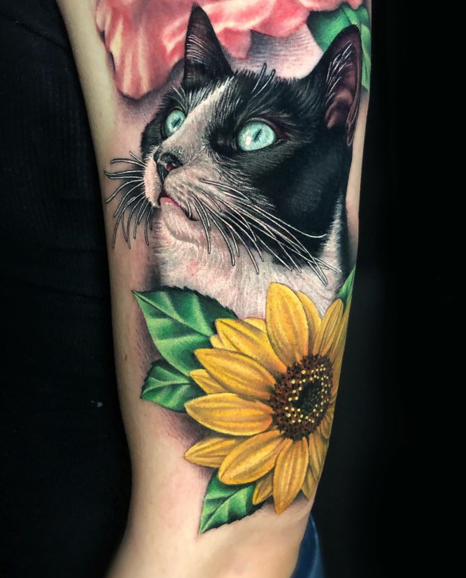 color realism cat portrait with sunflower tattoo by Megan Massacre