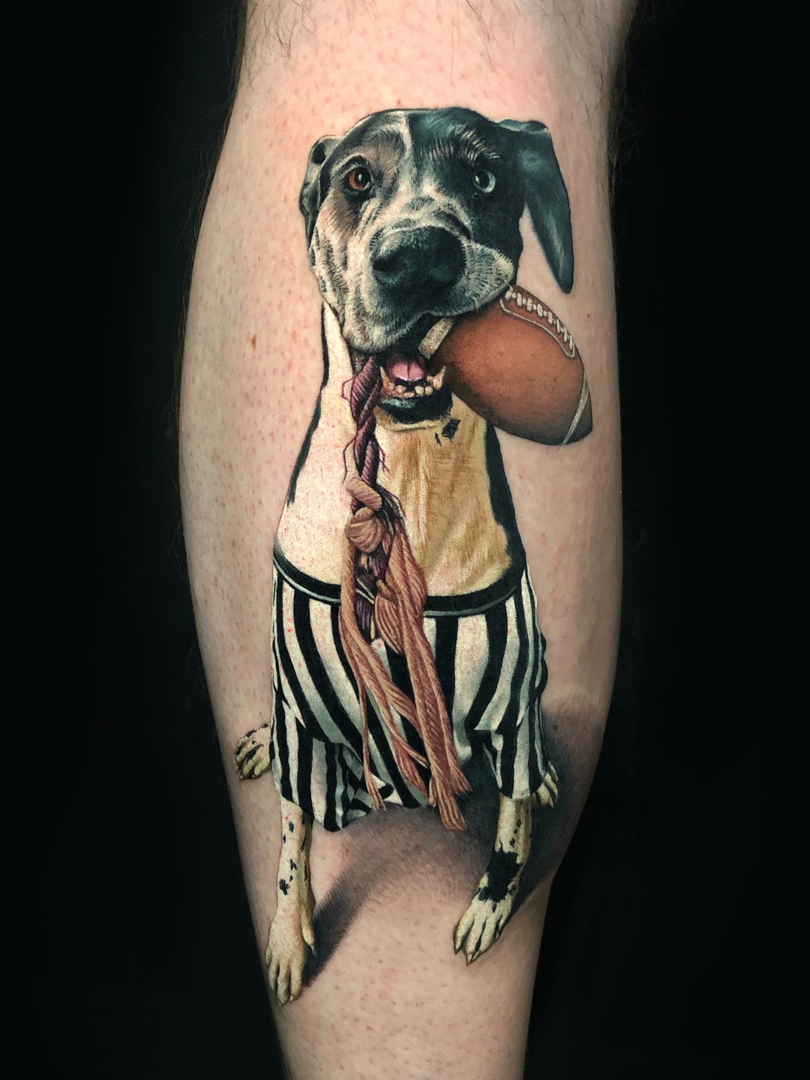 Color realism Great Dane dog portrait calf tattoo by Megan Massacre. This cute pet portrait features a black, white, and brown dog wearing a referee shirt holding his football toy. 