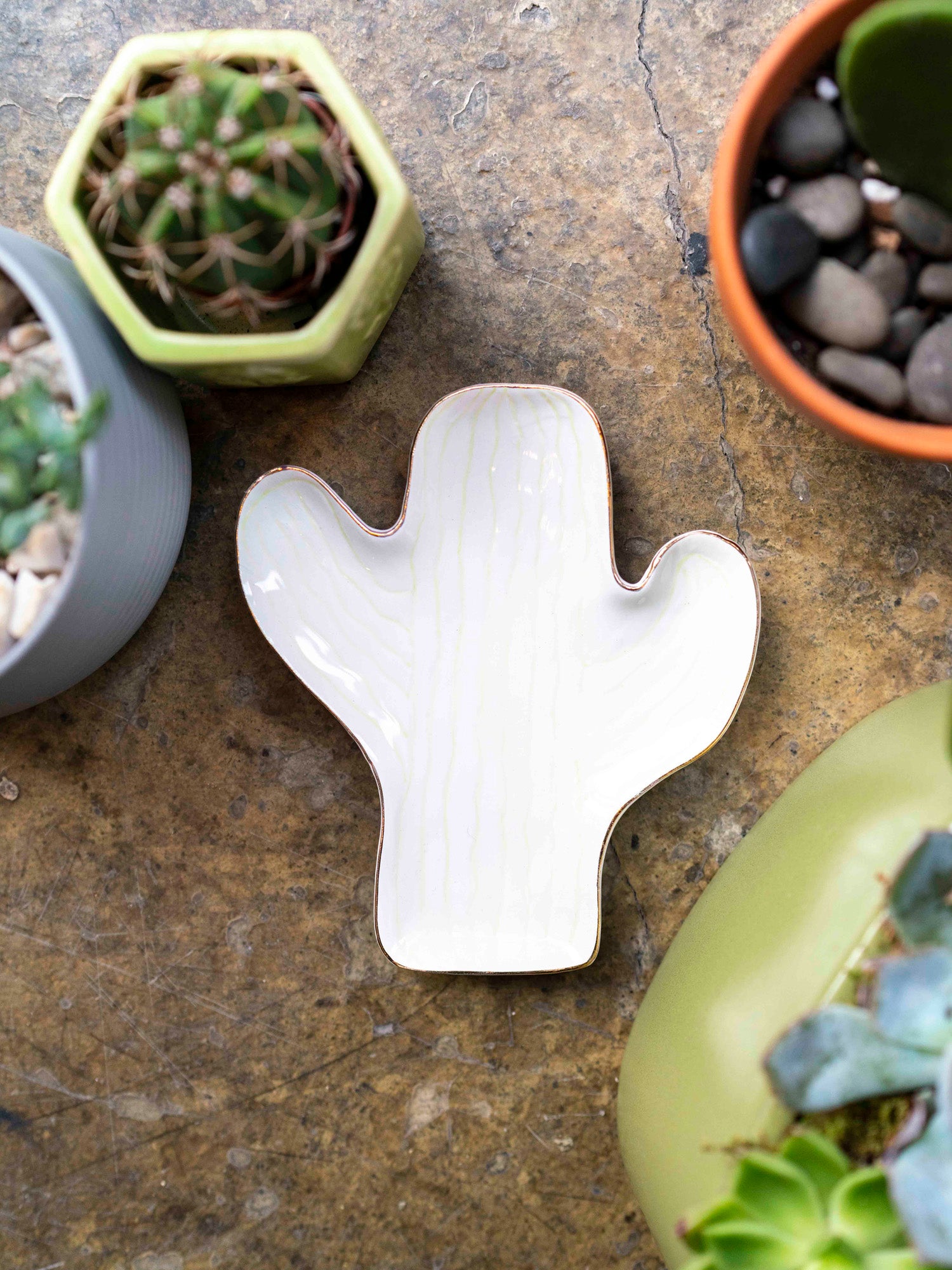 Cactus Catchall Tray