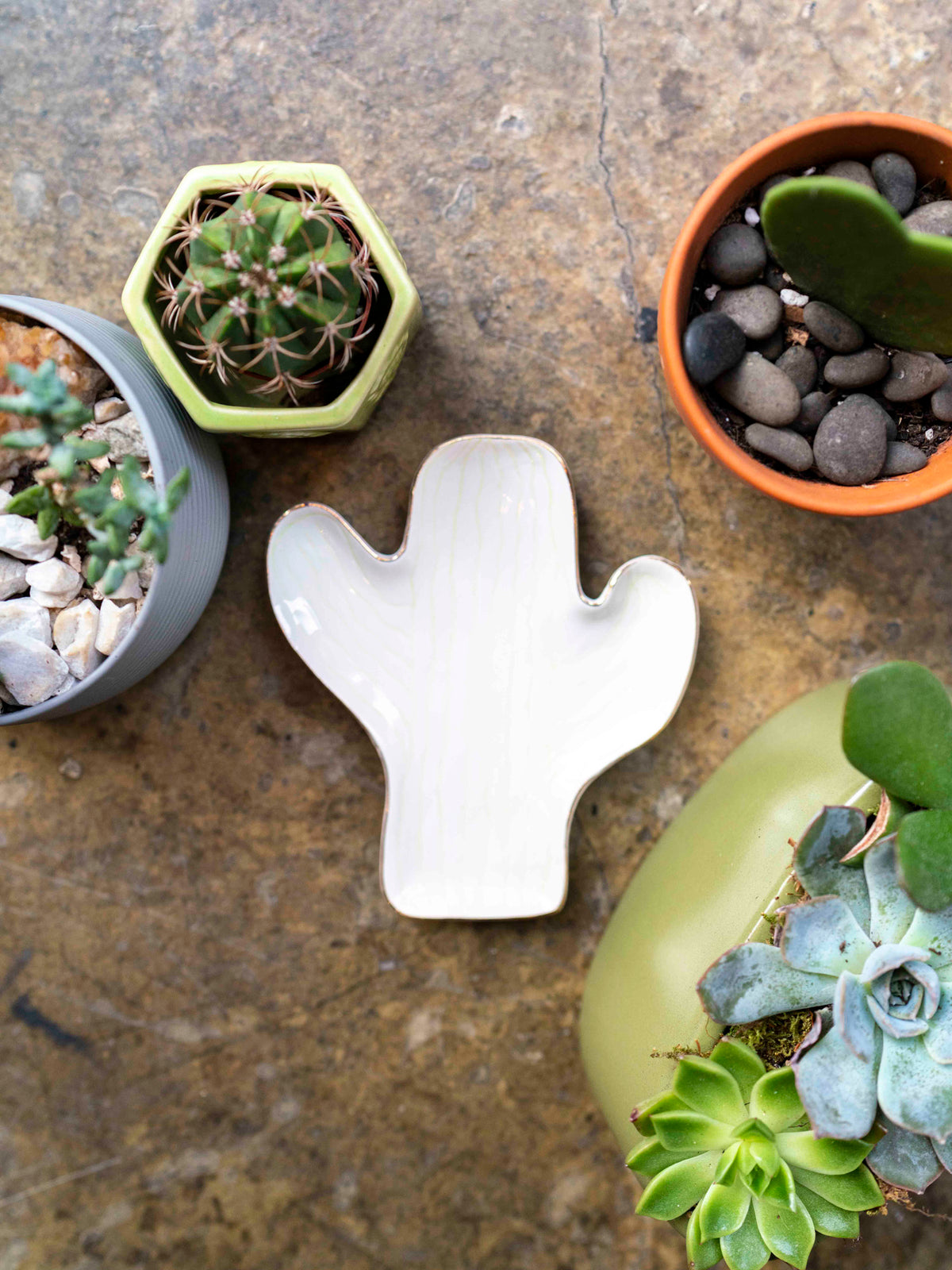 Cactus Catchall Tray