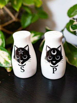 Black Cats Salt & Pepper Shakers