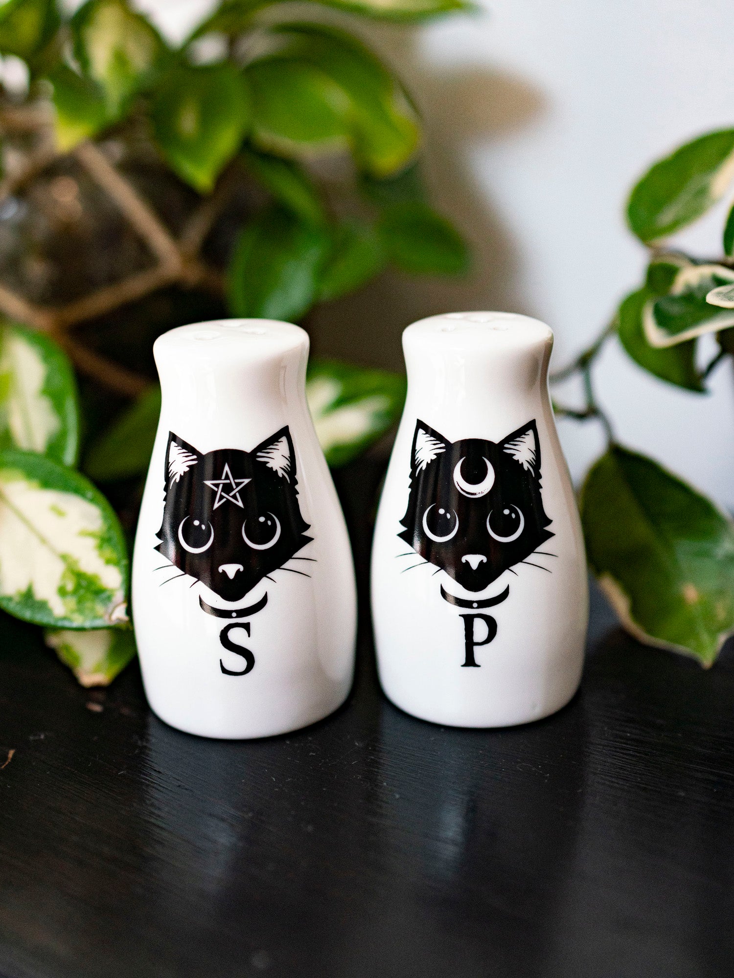 Black Cats Salt & Pepper Shakers