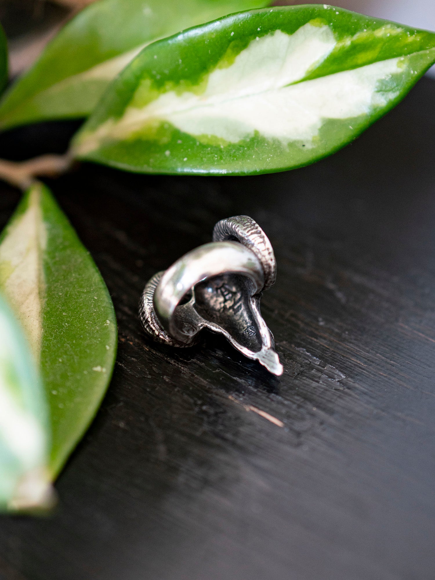 Baphomet Pewter Ring