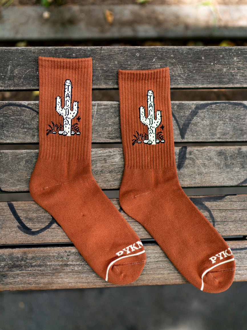 Cactus Taco Socks