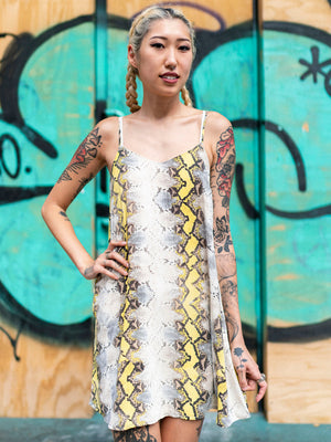 Nobody's Fool Dress