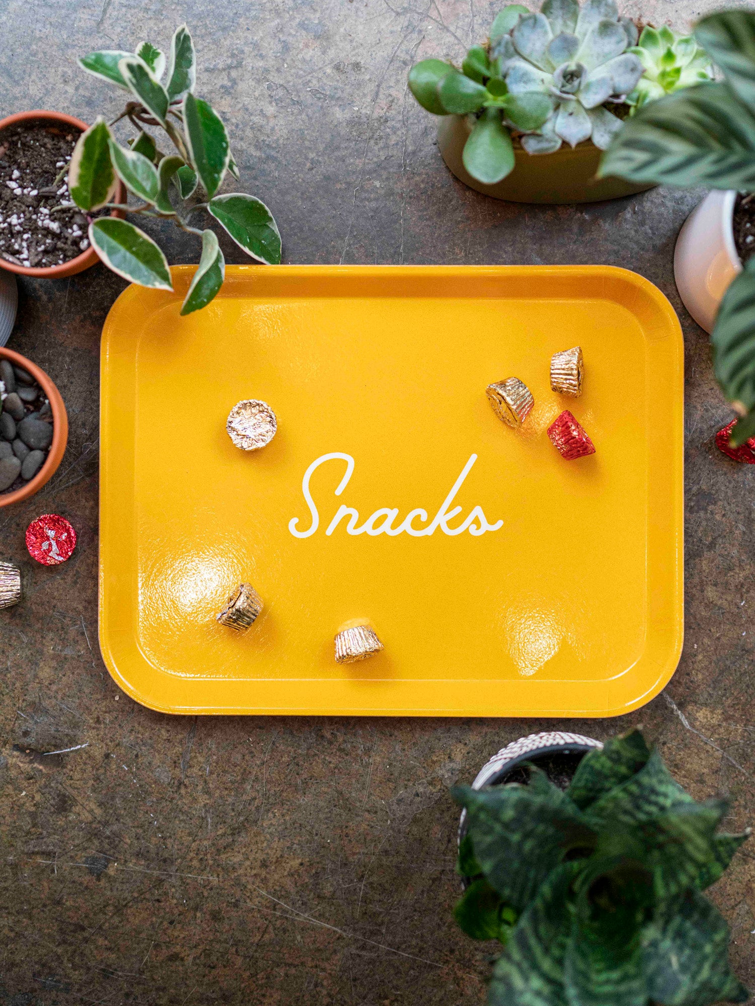 Snacks Tray