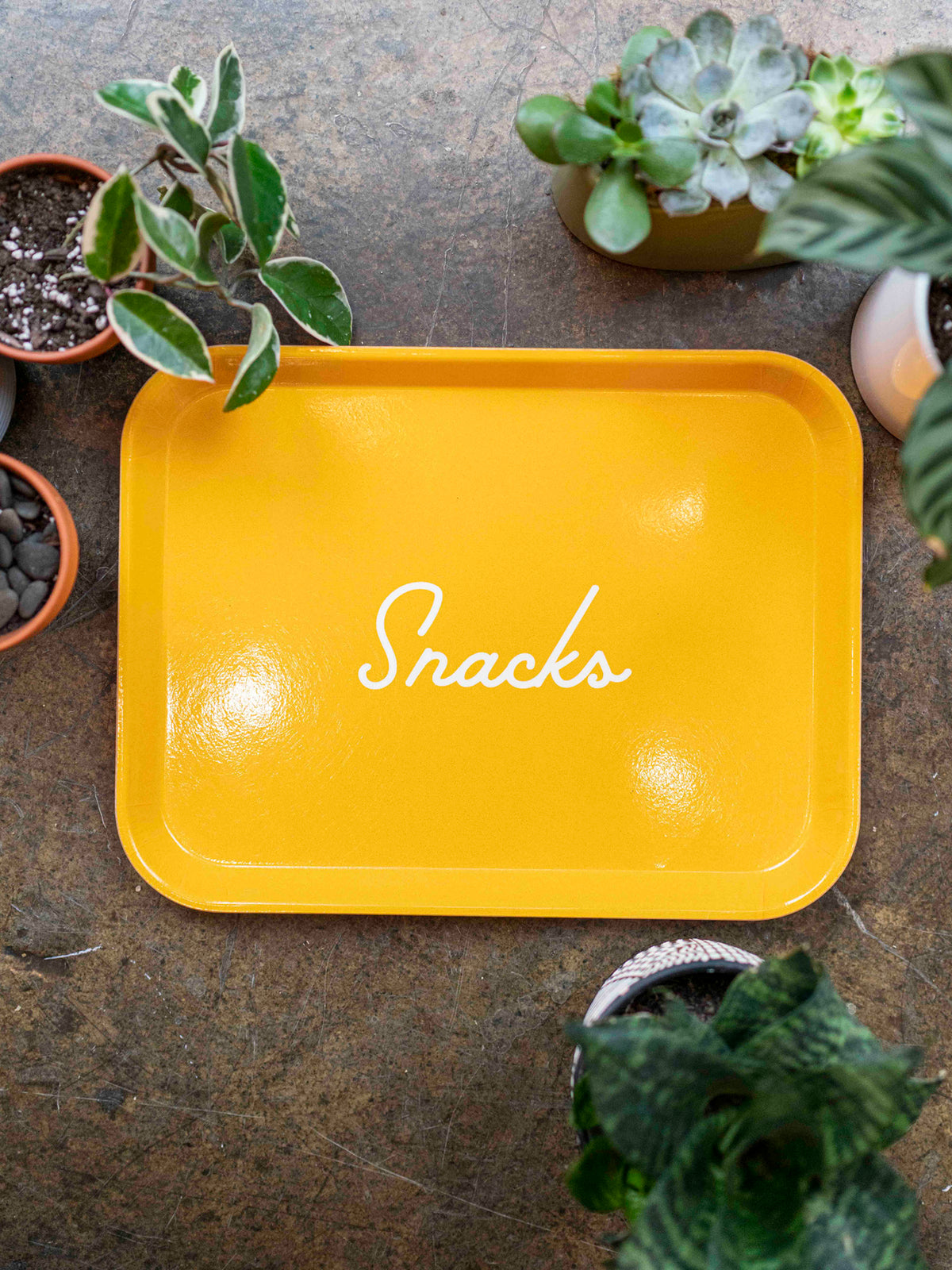 Snacks Tray