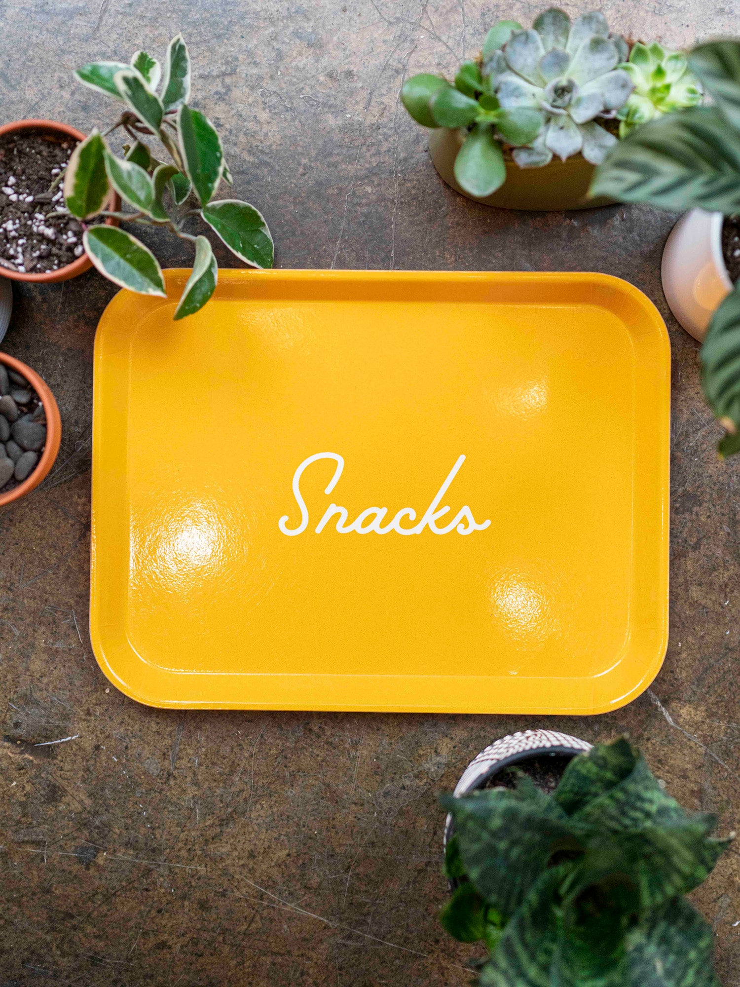 Snacks Tray