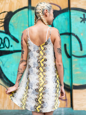 Nobody's Fool Dress