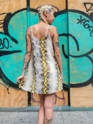 Nobody's Fool Dress