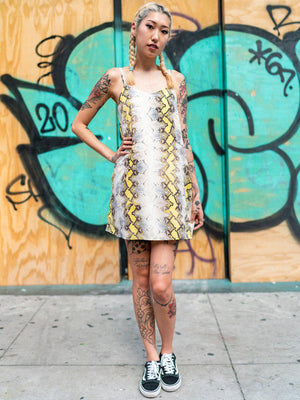 Nobody's Fool Dress