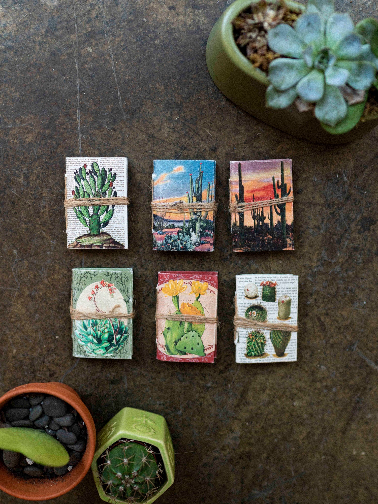 Desert Mini Journals