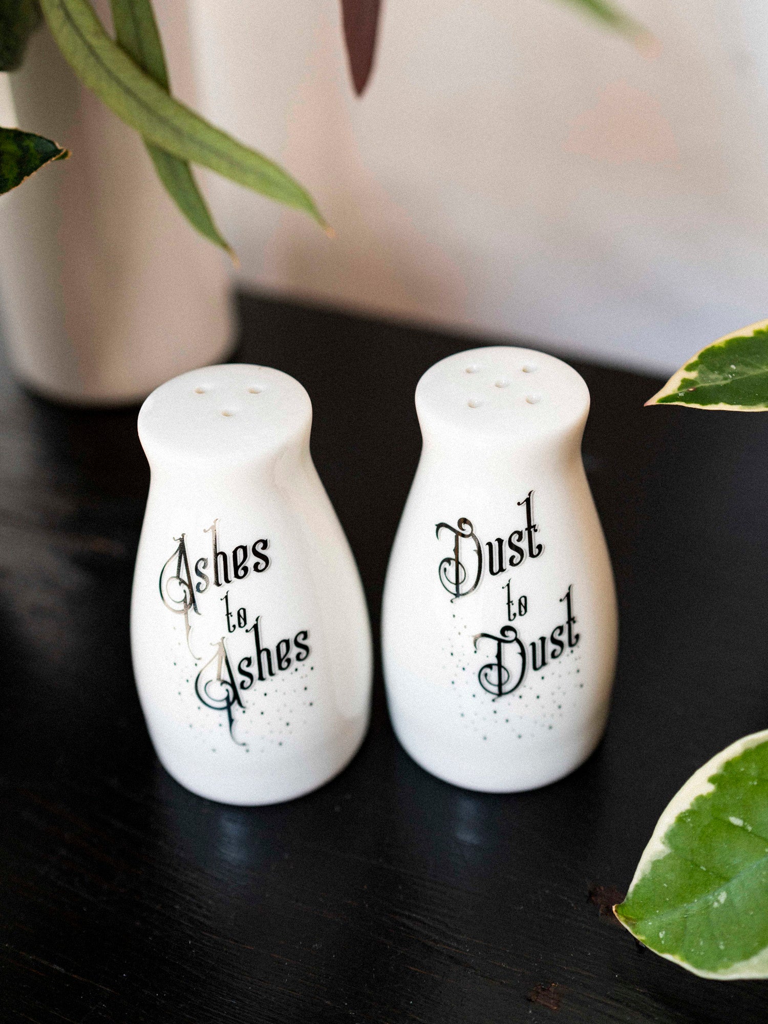 Ashes to Ashes Salt Shaker Set