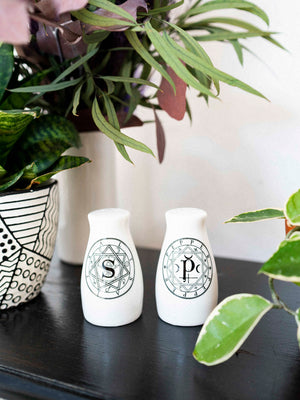 S & P Shaker Set