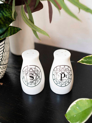 S & P Shaker Set