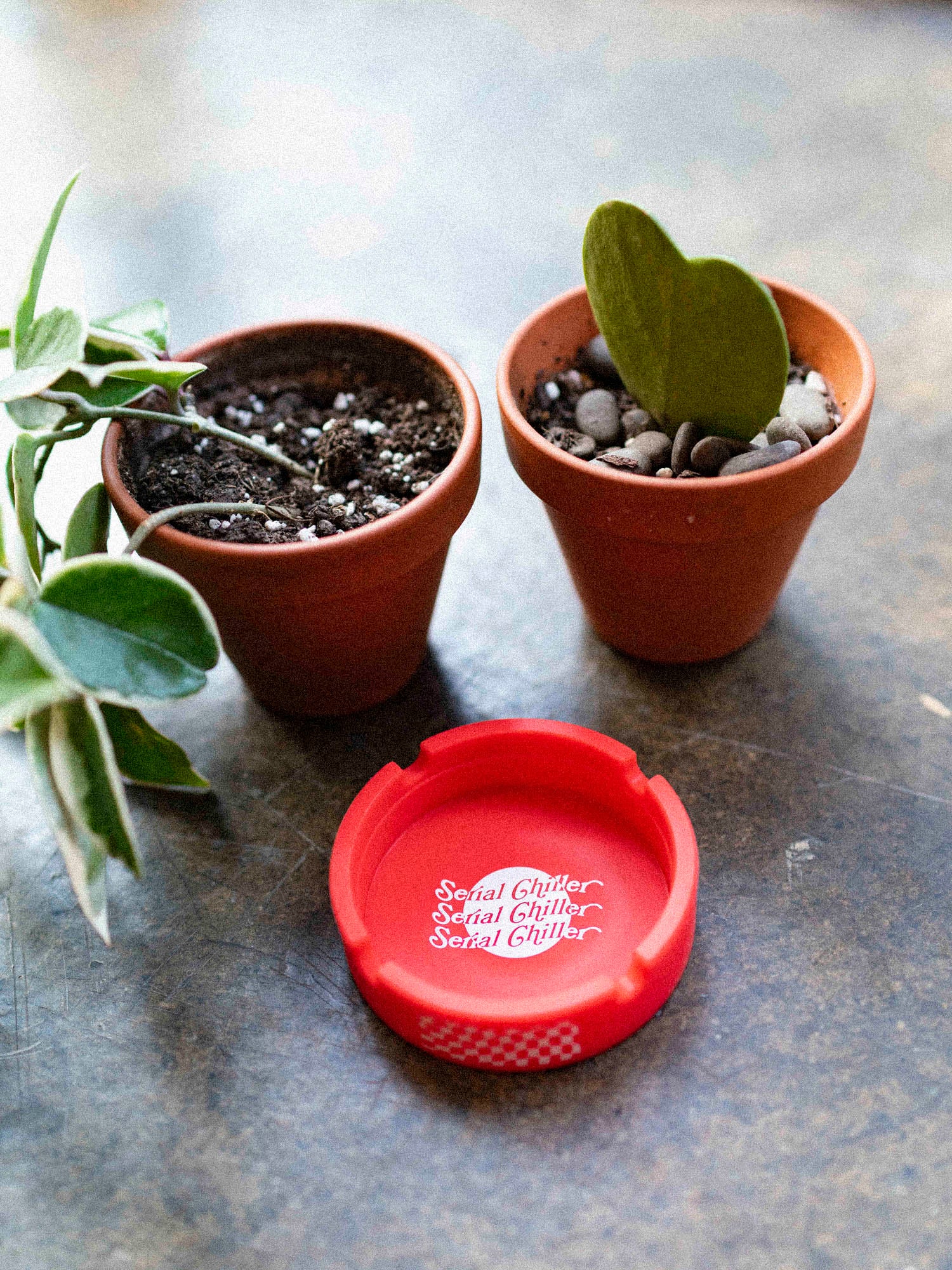 plant pot ashtray Serial Chiller Ashtray at GritNGlory