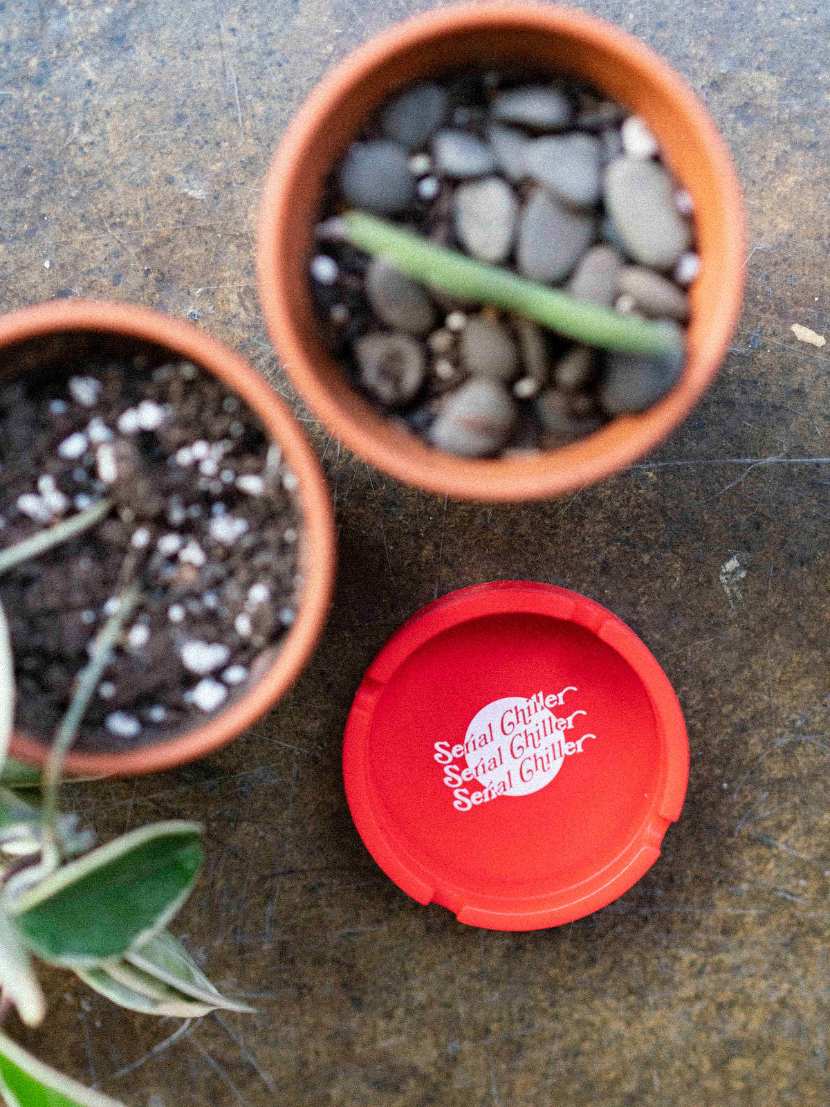 Serial Chiller Ashtray