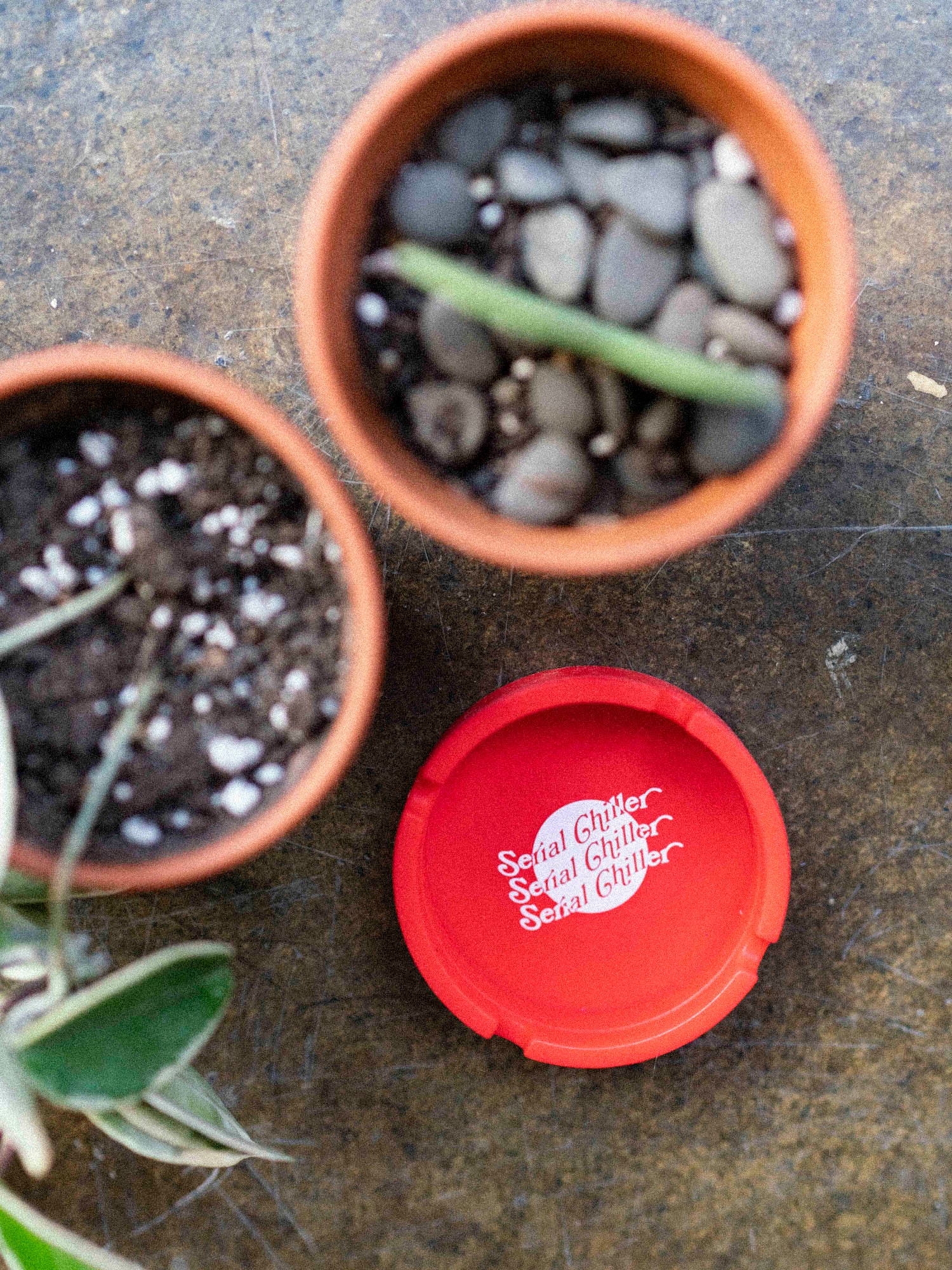 Serial Chiller Ashtray