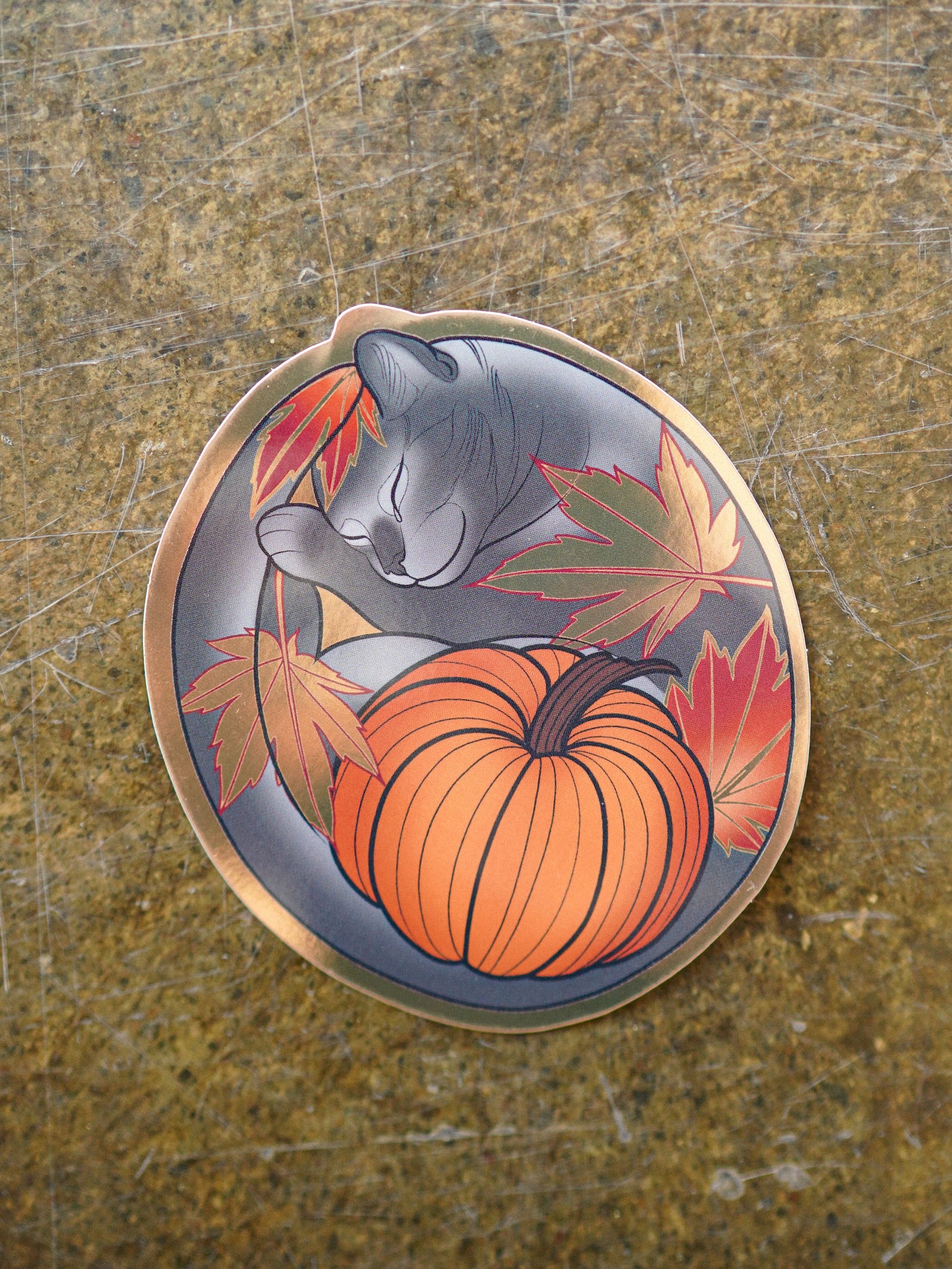 Gif of a die cut gray cat and pumpkin fall themed sticker designed by Charlotte Timmons.